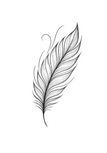 elegante-feder-mit-feinen-linien-und-anmut