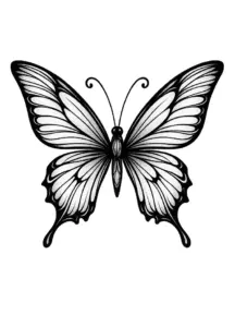 eleganter-schmetterling-mit-filigranen-fluegeln