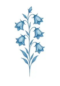 stilisierten-glockenblumen-aufrecht-wachsen-steissbein-blau