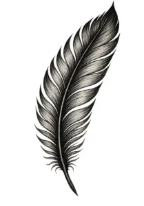 stilisiertes-federdesign-mit-details-und-schattierungen