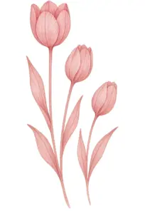 stilvolle-tulpen-in-verschiedenen-hoehen