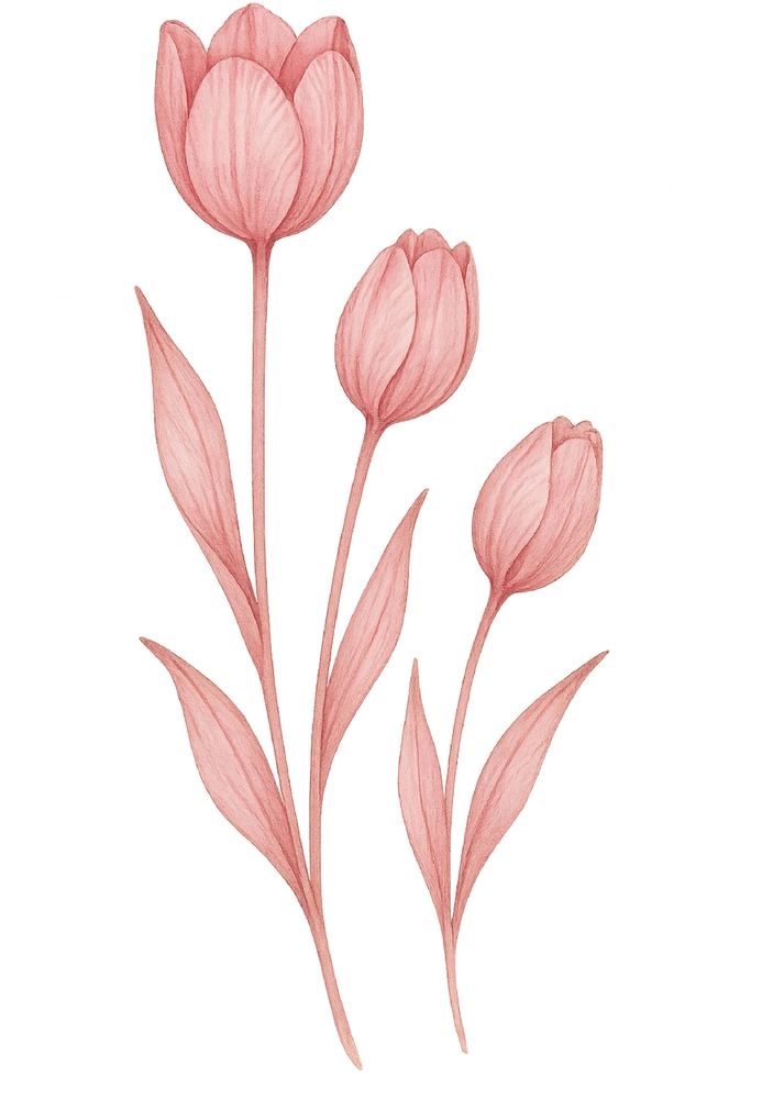 Tattoovorlage stilvolle Tulpen in verschiedenen Höhen