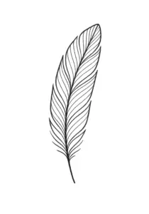 tattoovorlage-elegante-feder-mit-feinen-linien