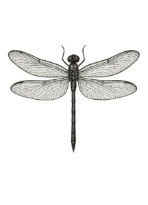 tattoovorlage-elegante-libelle-mit-detaillierten-fluegeln