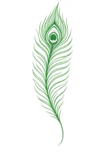 tattoovorlage-elegante-pfauenfeder-mit-feinen-linien