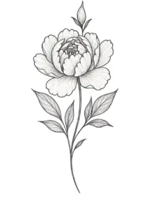 tattoovorlage-elegante-pfingstrose-mit-zarten-details