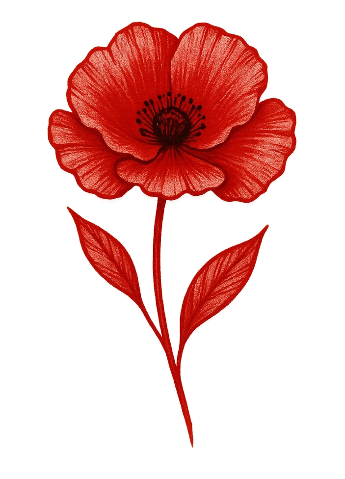 Tattoovorlage Mohnblume mit kräftigen Blütenblättern