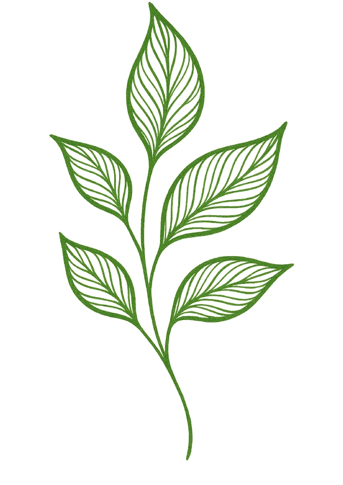 Tattoovorlage stilisierte Pflanzen mit filigranen Blättern