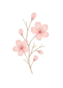 zarte-kirschblueten-mit-feinen-aesten-tattoo-vorlage