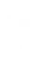 zarte-lilie-mit-geschwungenen-bluetenkraenzen