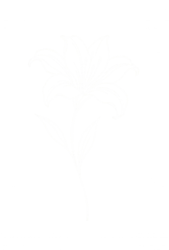 Tattoovorlage zarte Lilie mit geschwungenen Blütenblättern